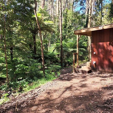 The Fernglen Forest Retreat Mount Dandenong Dış mekan fotoğraf