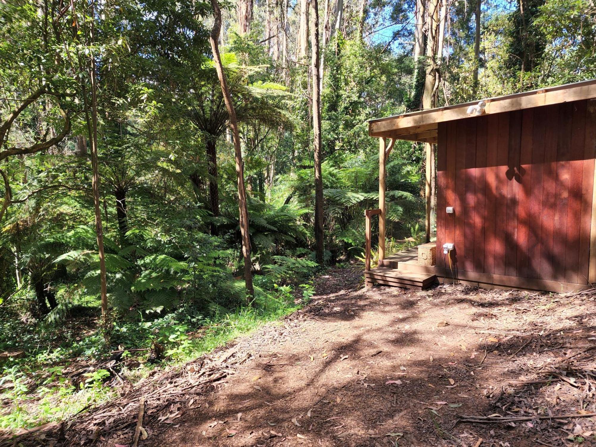 The Fernglen Forest Retreat Mount Dandenong Dış mekan fotoğraf