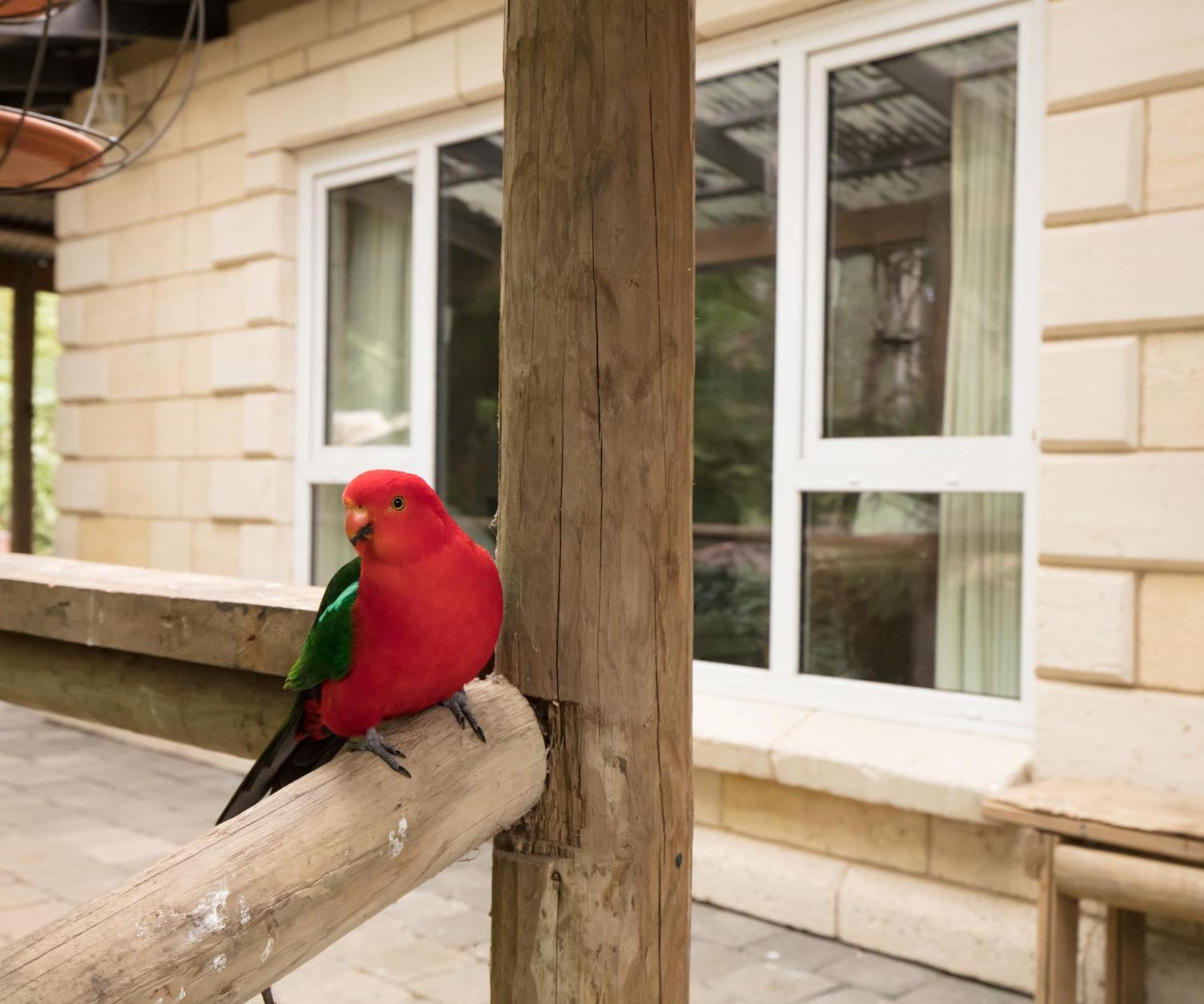 The Fernglen Forest Retreat Mount Dandenong Dış mekan fotoğraf