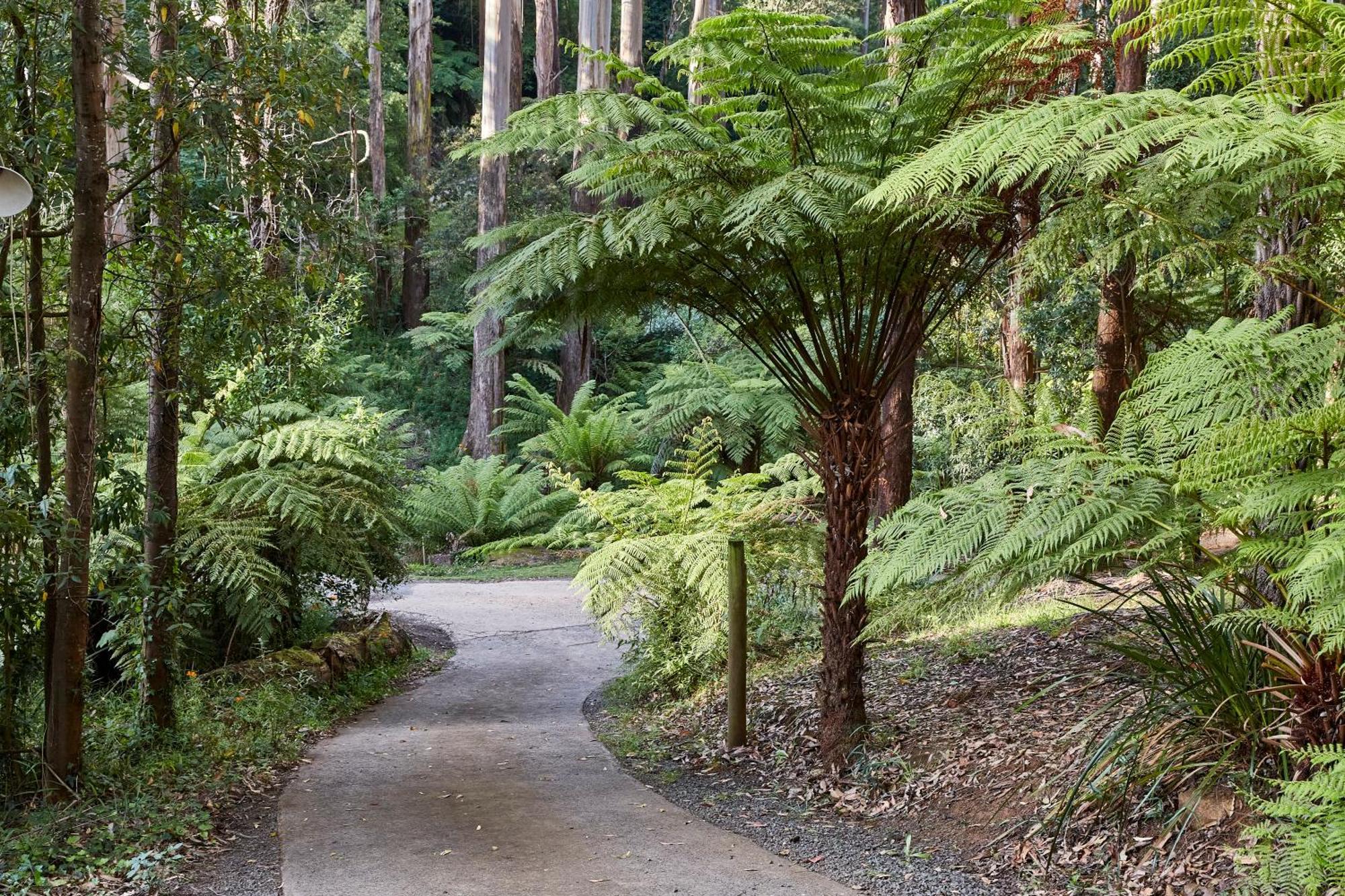 The Fernglen Forest Retreat Mount Dandenong Dış mekan fotoğraf