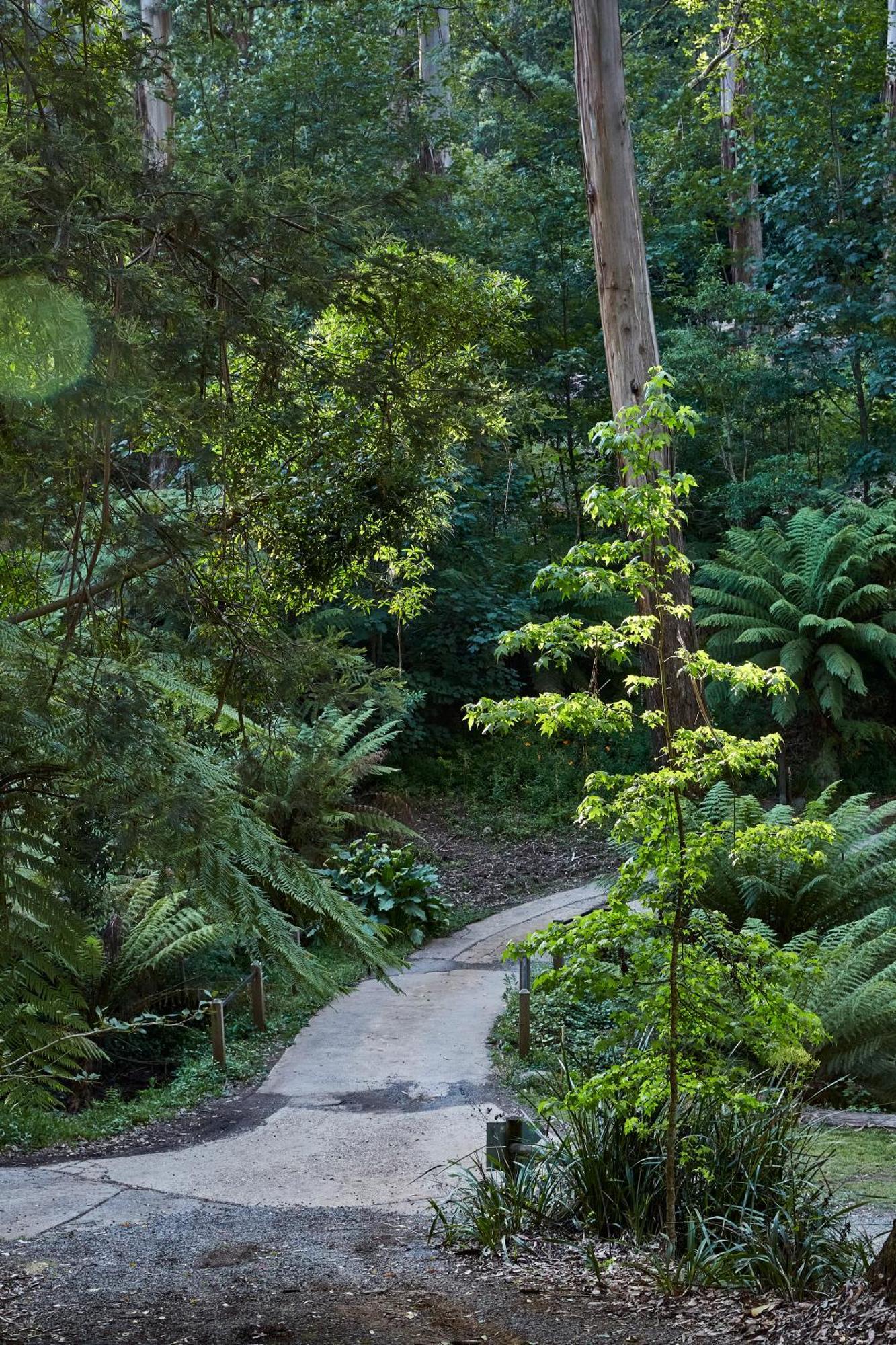 The Fernglen Forest Retreat Mount Dandenong Dış mekan fotoğraf