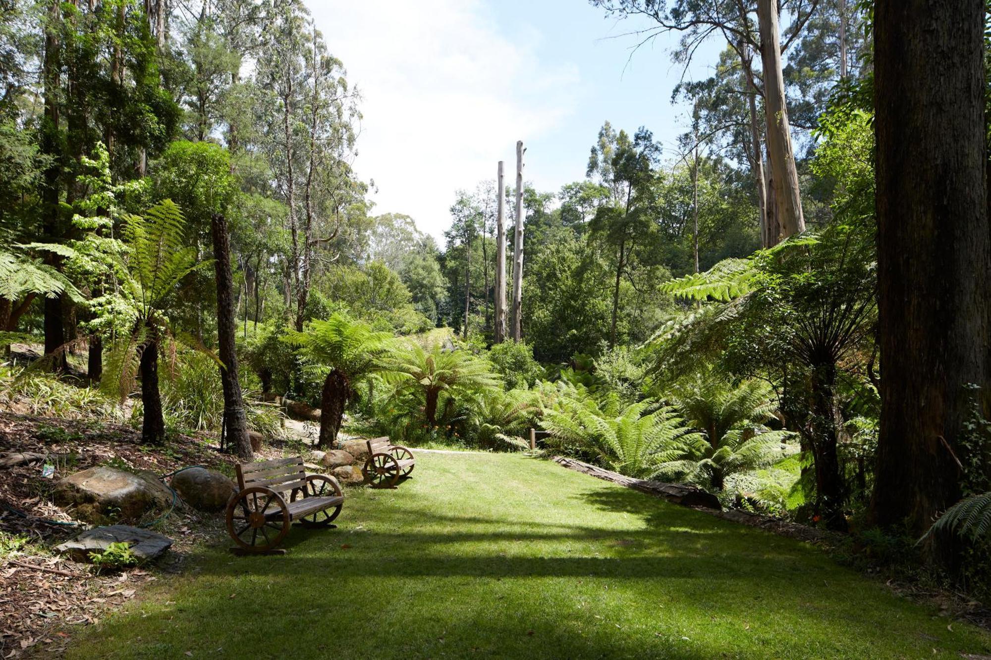 The Fernglen Forest Retreat Mount Dandenong Dış mekan fotoğraf