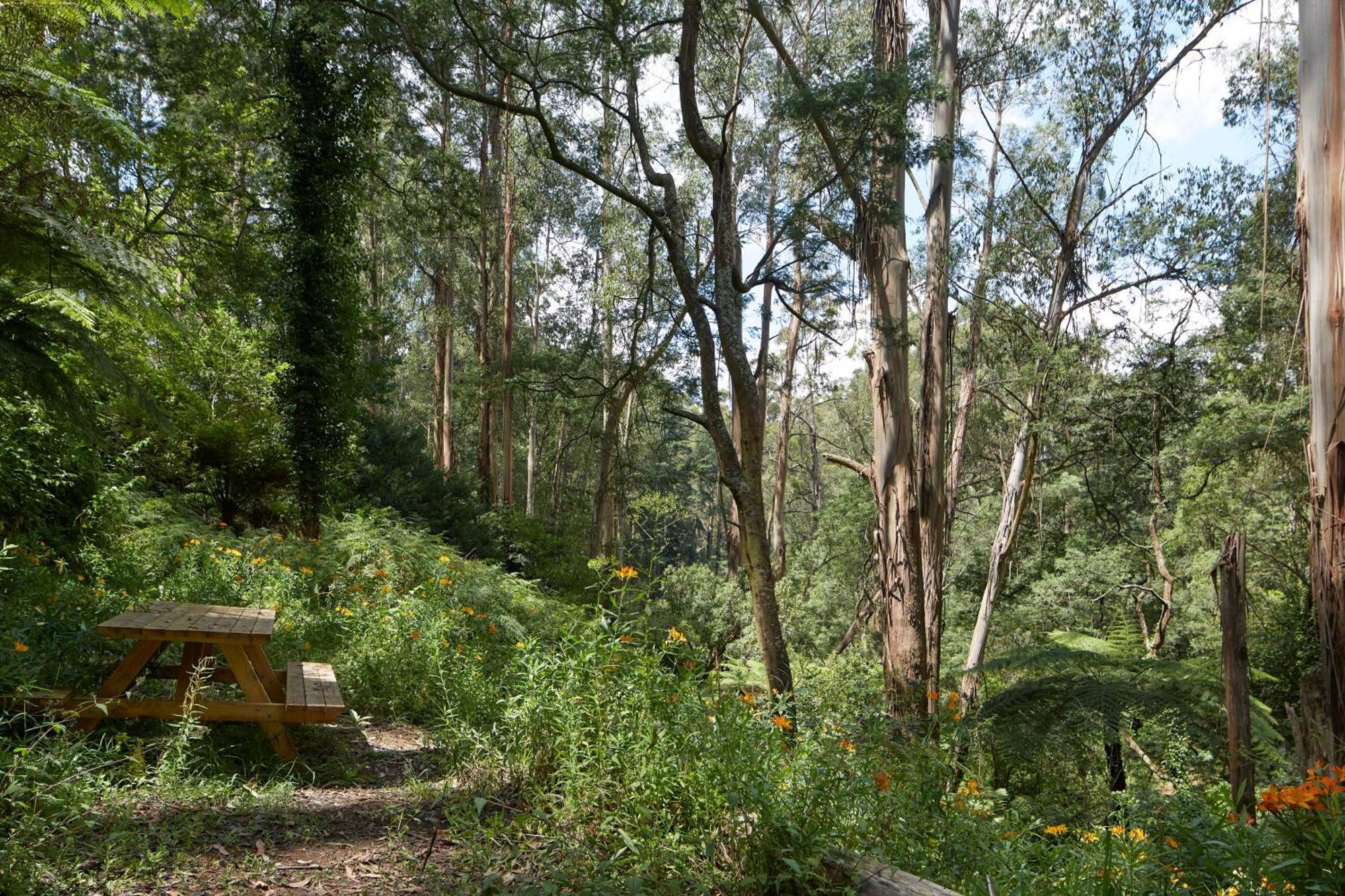 The Fernglen Forest Retreat Mount Dandenong Dış mekan fotoğraf