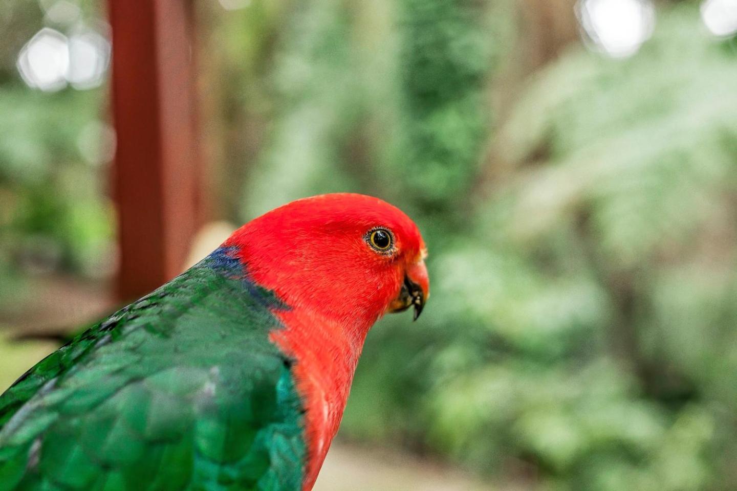 The Fernglen Forest Retreat Mount Dandenong Dış mekan fotoğraf