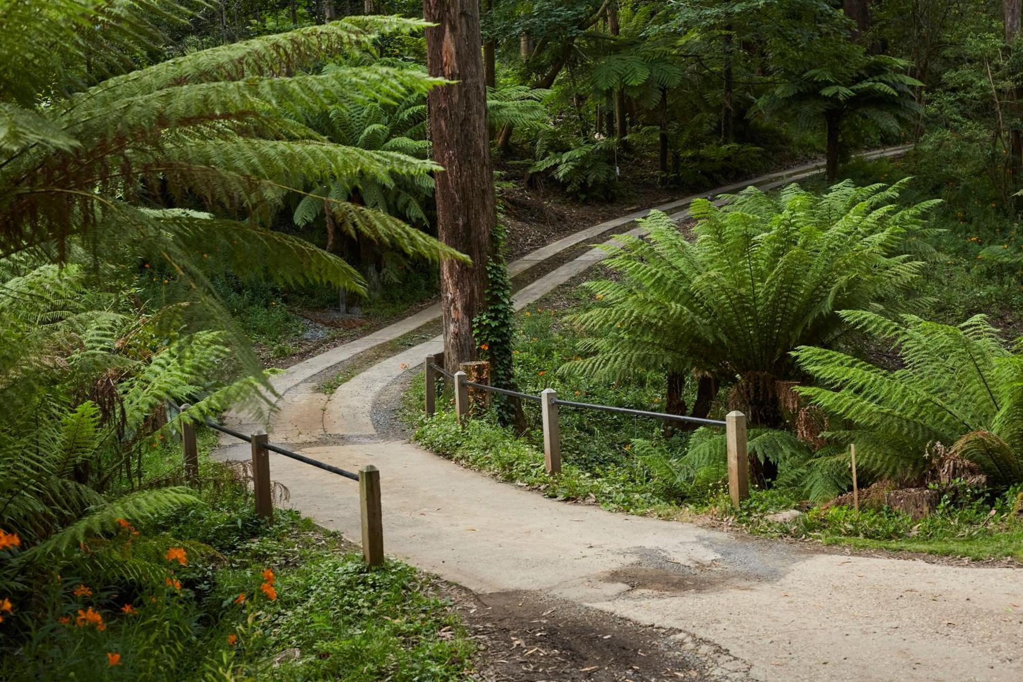 The Fernglen Forest Retreat Mount Dandenong Dış mekan fotoğraf
