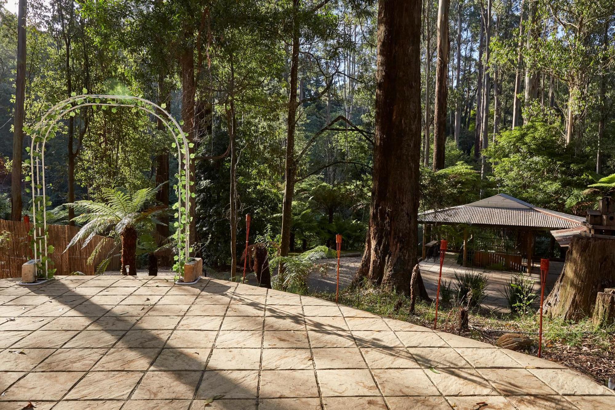The Fernglen Forest Retreat Mount Dandenong Dış mekan fotoğraf