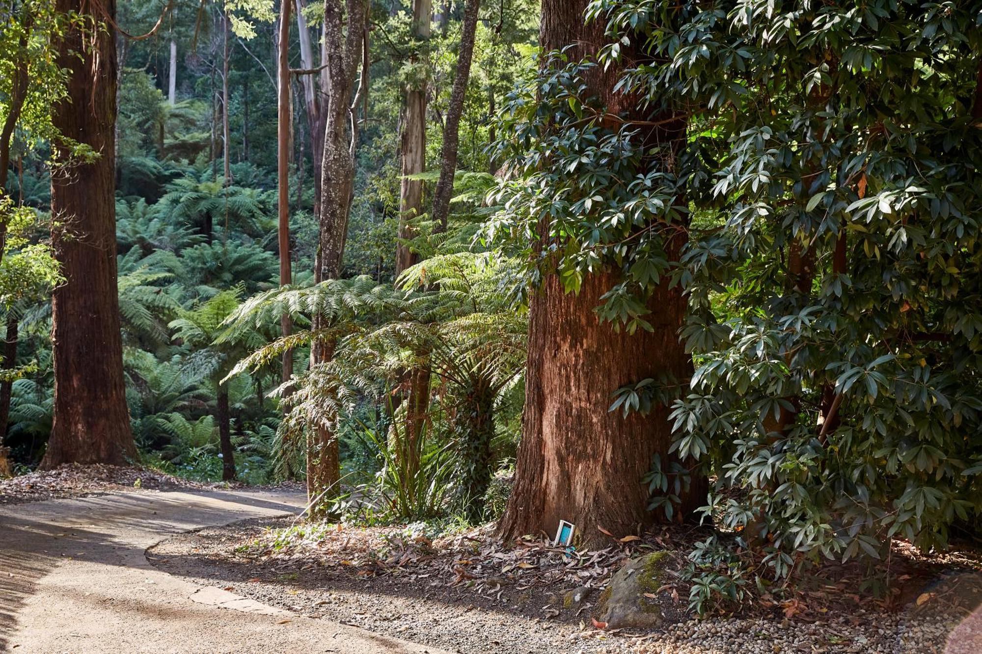 The Fernglen Forest Retreat Mount Dandenong Dış mekan fotoğraf